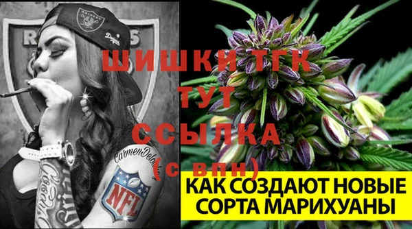 шишки Лабытнанги