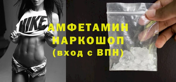 шишки Лабытнанги
