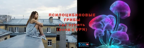 прущие грибы Лагань