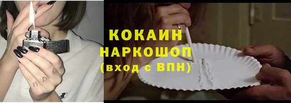 шишки Лабытнанги