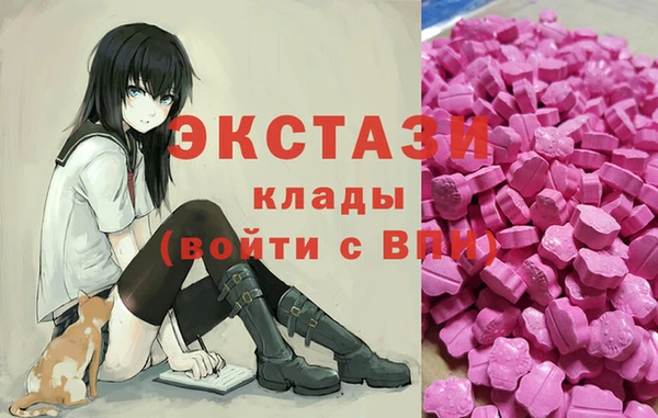шишки Лабытнанги