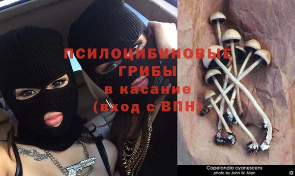 ECSTASY Ладушкин