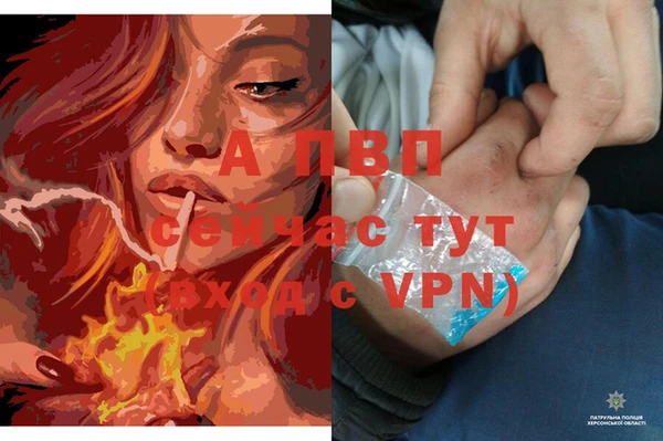 прущие грибы Лагань