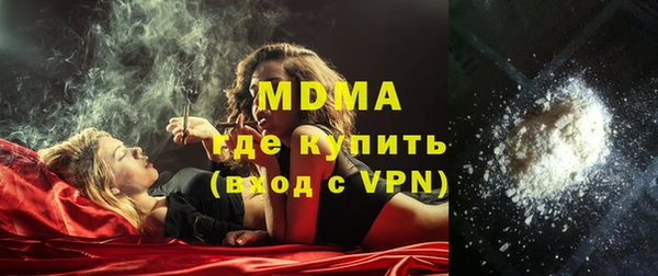 шишки Лабытнанги