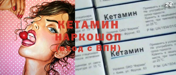 шишки Лабытнанги