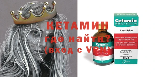 шишки Лабытнанги
