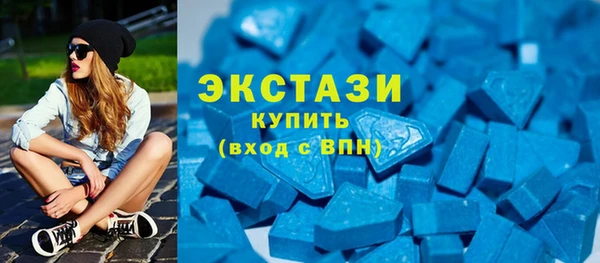 шишки Лабытнанги