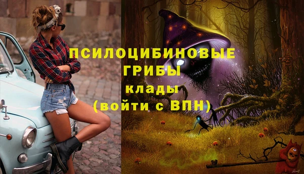 прущие грибы Лагань