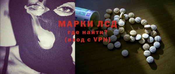шишки Лабытнанги